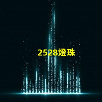 2528燈珠
