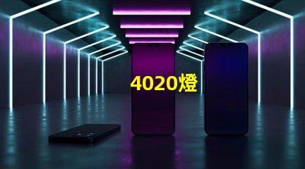 4020燈