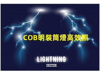 COB明裝筒燈高效照明解決方案的選擇,你準備好了嗎