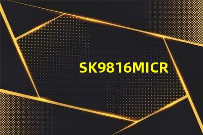 SK9816MICRO-J
