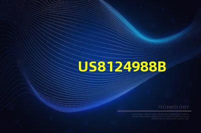 US8124988B2專利授權評估方法專利價值分析與審核流程詳解