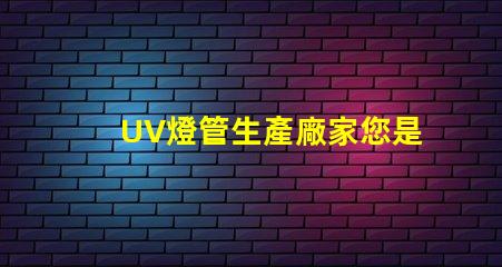 UV燈管生產廠家您是否選擇了最具競爭力的供應商