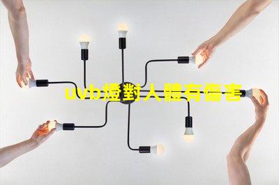 uvb燈對人體有傷害嗎深入解析UVB燈對皮膚健康的影響