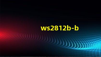 ws2812b-b