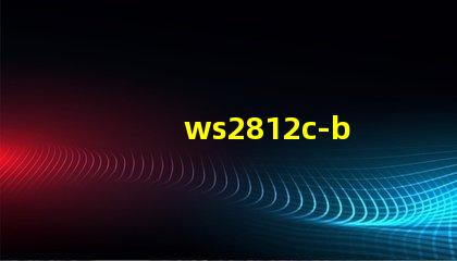 ws2812c-b