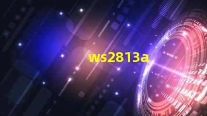 ws2813a