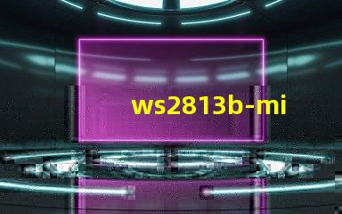 ws2813b-mini