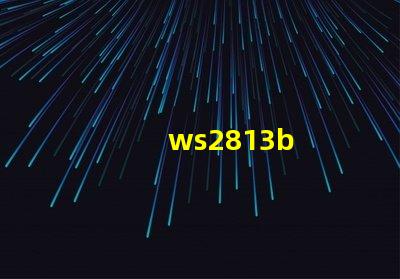 ws2813b