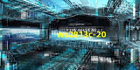 ws2813c-2020