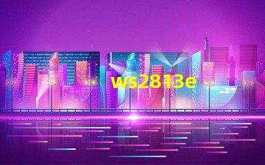 ws2813e