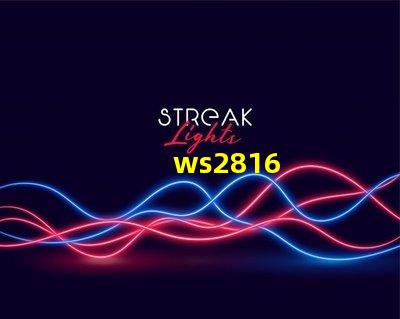 ws2816