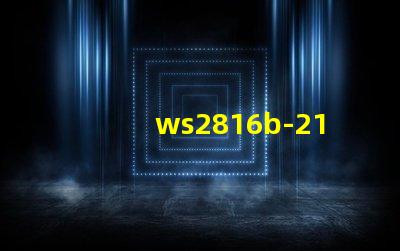 ws2816b-2121