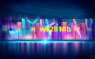 ws2818b