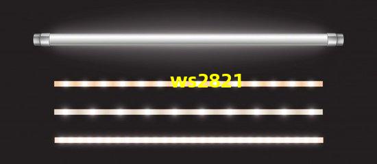 ws2821