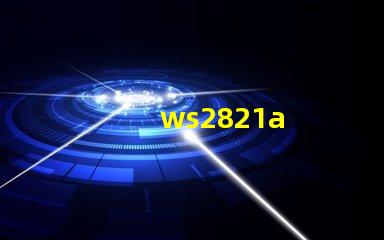 ws2821a