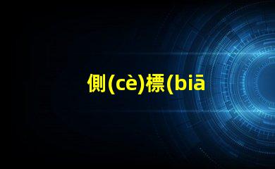 側(cè)標(biāo)志燈增強(qiáng)道路安全的關(guān)鍵照明