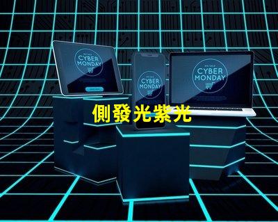 側發光紫光