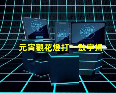 元宵觀花燈打一數字揭秘元宵節數字謎底的趣味游戲