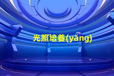 光照培養(yǎng)箱提高植物生長效率的關(guān)鍵設(shè)備