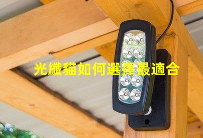 光纖貓如何選擇最適合您企業的光纖貓設備