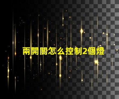 兩開關怎么控制2個燈燈光控制方案及其應用