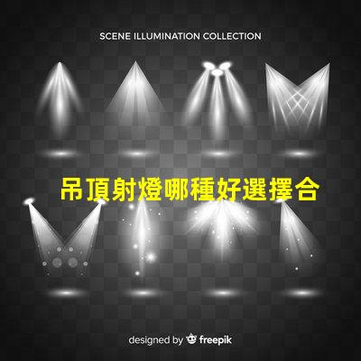 吊頂射燈哪種好選擇合適吊頂射燈的終極指南