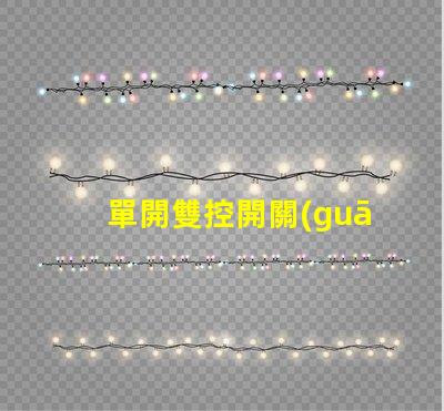 單開雙控開關(guān)是什么意思單開雙控開關(guān)的功能與應(yīng)用解析
