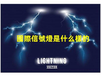 國際信號燈是什么樣的全球交通信號燈標準詳解