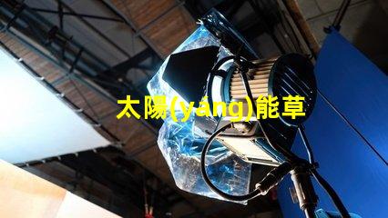太陽(yáng)能草坪燈高效能與環(huán)保的完美結(jié)合,您真的了解嗎
