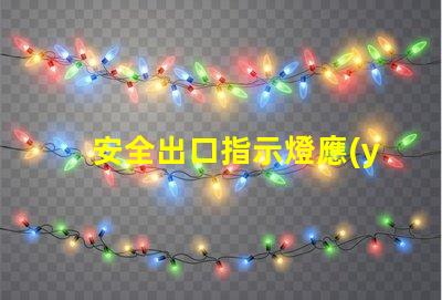 安全出口指示燈應(yīng)急燈如何選擇高效能應(yīng)急照明解決方案