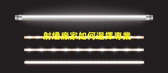 射燈廠家如何選擇專業可靠的射燈供應商