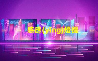感應(yīng)燈提高安全性的智能照明解決方案,你準(zhǔn)備好了嗎