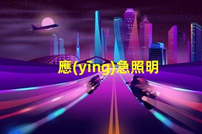 應(yīng)急照明指示燈具提升安全性與可見性的關(guān)鍵設(shè)備