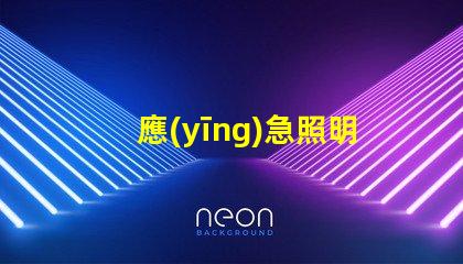 應(yīng)急照明控制器確保安全的智能解決方案