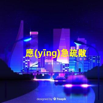 應(yīng)急疏散系統(tǒng)提升安全效率的關(guān)鍵技術(shù)是什么