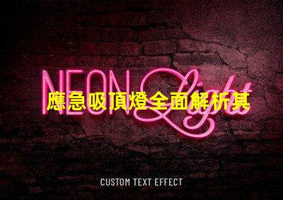應急吸頂燈全面解析其應用與優(yōu)勢