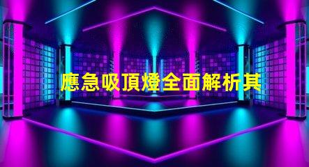 應急吸頂燈全面解析其應用與優勢