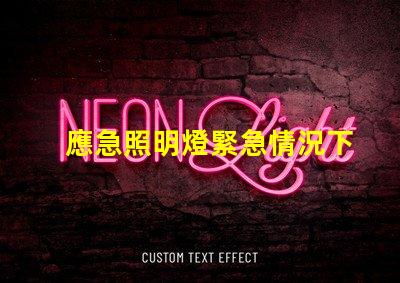 應急照明燈緊急情況下的安全照明解決方案
