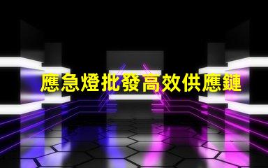 應急燈批發高效供應鏈助力企業節省成本