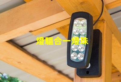 燈驅合一燈珠