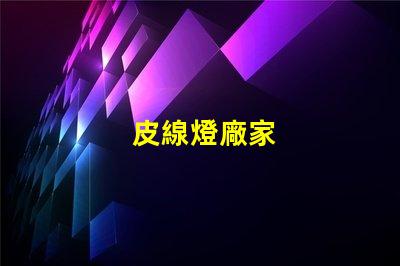 皮線燈廠家