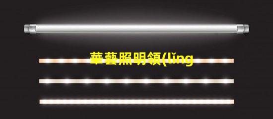 華藝照明領(lǐng)先技術(shù)照明解決方案的探索