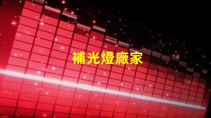 補光燈廠家