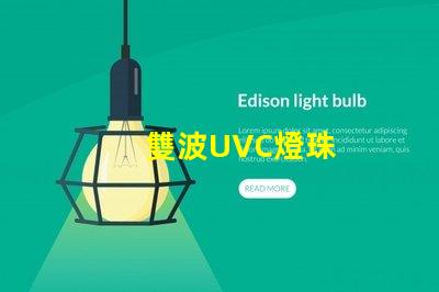 雙波UVC燈珠