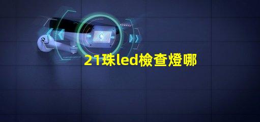 21珠led檢查燈哪家好