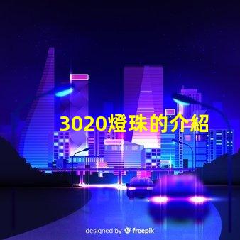 3020燈珠的介紹