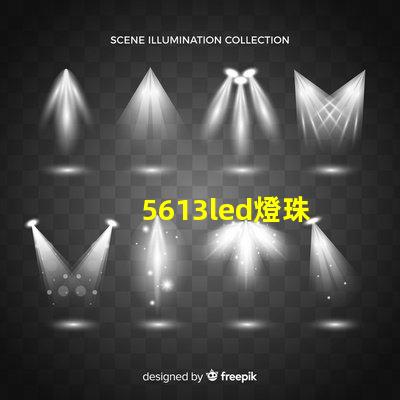 5613led燈珠
