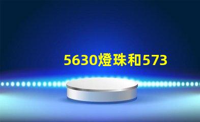 5630燈珠和5730燈珠哪個好