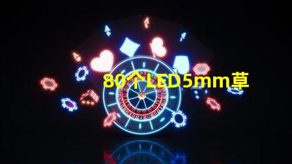 80個LED5mm草帽燈珠配多大驅動器？