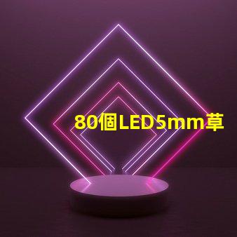 80個LED5mm草帽燈珠配多大驅動器？